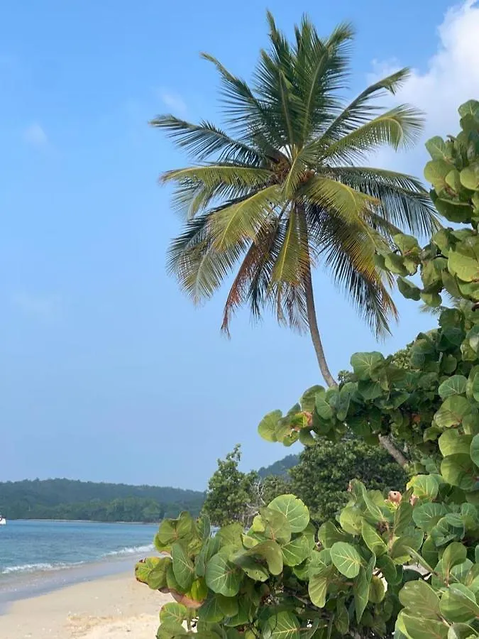 Apartament Kaz' Kiki Coco Folle Anse