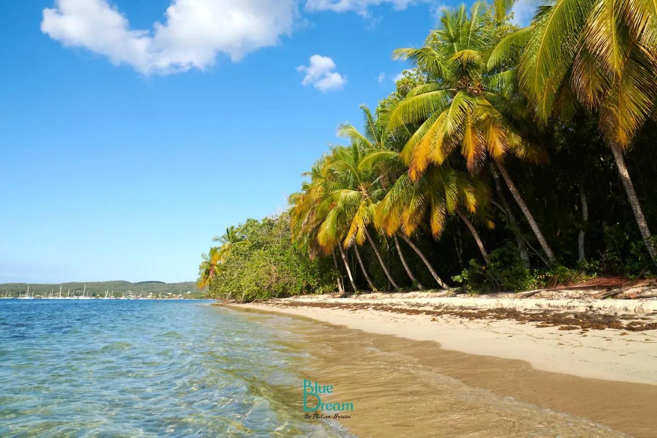 Apartament Kaz' Kiki Coco Folle Anse